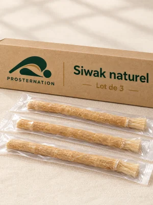 Lot de 3 bâtons de siwak ensachés individuellement devant leur boîte en carton Prosternation Lot de 3 bâtons de siwak ensachés individuellement devant leur boîte en carton Prosternation