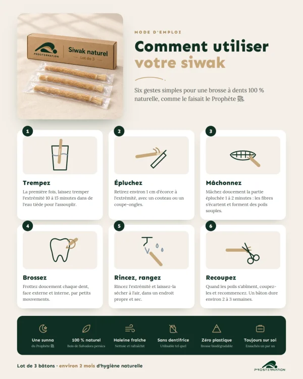 Infographie : comment utiliser votre siwak en 6 étapes, et ses bienfaits